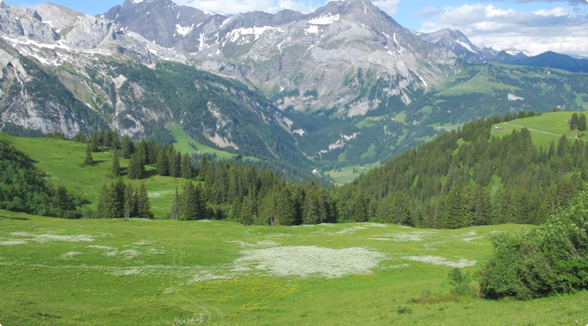 ¿Cuáles son las opciones de vehículos más populares en Gsteig Bei Gstaad?